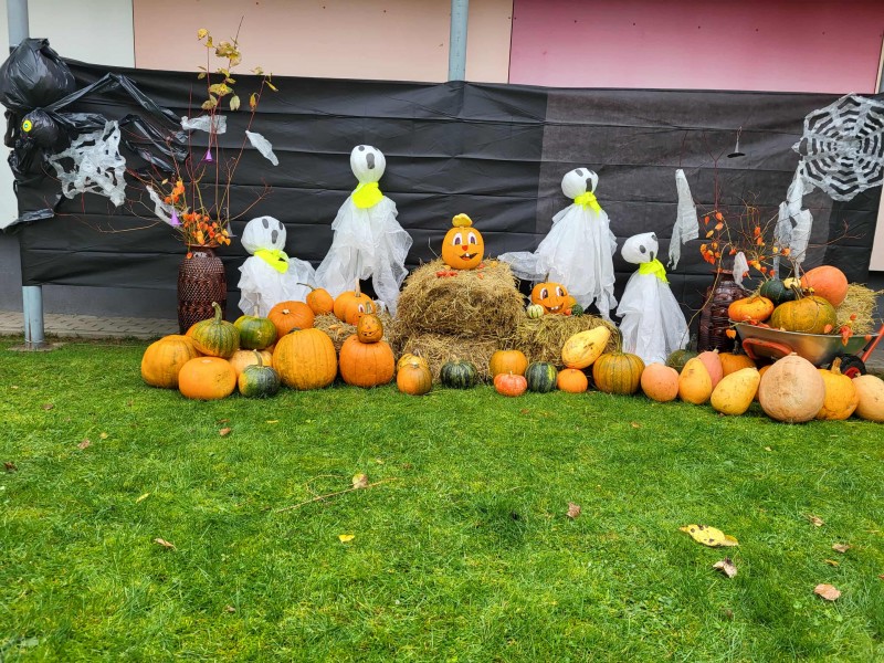 Šiurpės „Žvaigždutėje“